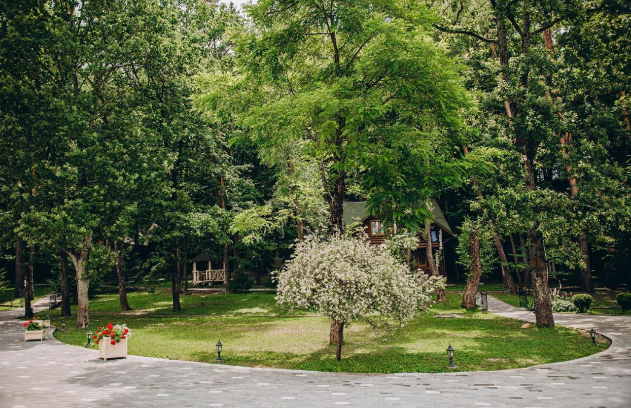 Hotel Solotvyno Resort Экстерьер фото